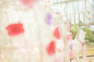 꽃페스타기념공원