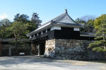 고치 성