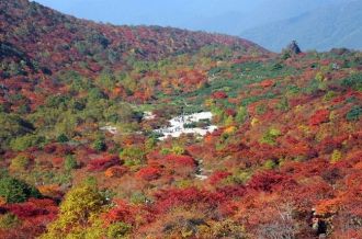 나수 코겐