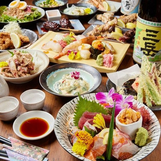 모두가 좋아하는 맛있고 편안한 이자카야 5선|오사카