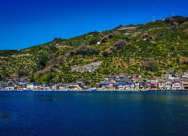 영화에서 페리로 도착한 목적지로 여겨지는 에히메현의 "Yawatahama Port".