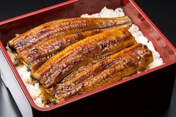 Top 일식 Summer Foods to Beat the Heat!