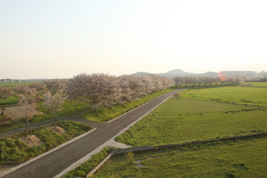 하나엔노토키(桜会の季)_내부 전경