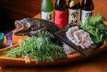 사카나야소마 구루메점_"환상의 물고기"를 심플한 스타일로 즐기는 '자바리 회'