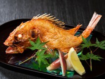 롯폰기 깃코_엄선한 고급 생선을 절묘한 불조절로 정점의 맛과 식감으로 완성되는 '구운 생선'